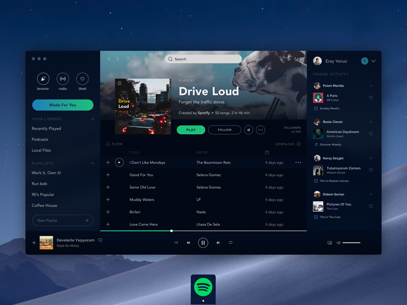 Spotify blocked